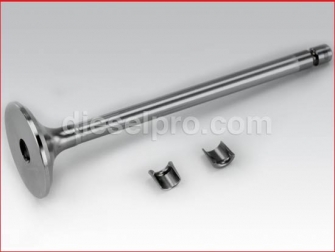 Cummins,Exhaust Valve,ISC,QSC,3800341,Valvula de escape 