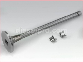 Cummins Exhaust Valve,L10,3801357,Valvula de escape