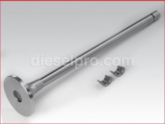 Cummins,Intake Valve,L10,M11 engines,3800638,Válvula de admisión