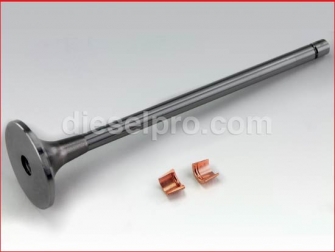 Cummins,Intake Valve,3803360,Valvula de admision