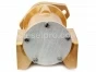 Cummins Marine,Sea water Pump,C1100,3349392,QSM11,bomba agua salada