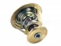 Cummins,Thermostat,6C,6CT,3928639,Termostato