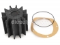 Detroit Diesel engine,Impeller,Raw water pump 3 0,5 inches,8924839,Impeller para bomba de agua salada 3 0,5 pulgadas