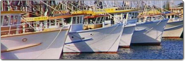 Bot nelayan, Twin Disc, peralatan laut, penghantaran laut, mg502, mg506, mg507, mg5075, mg509, mg514, mg521, mg527, mg5111, mg5114, mg5090, mg5091, mg5050, mg5061, Plat Clutch, Plat Geseran, Blok Getah, Gandingan Getah, Tolok, Segel, bahagian, gear, kopling, twindisc, pengedar aftermarket, kapal nelayan